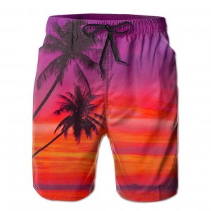 Board Shorts